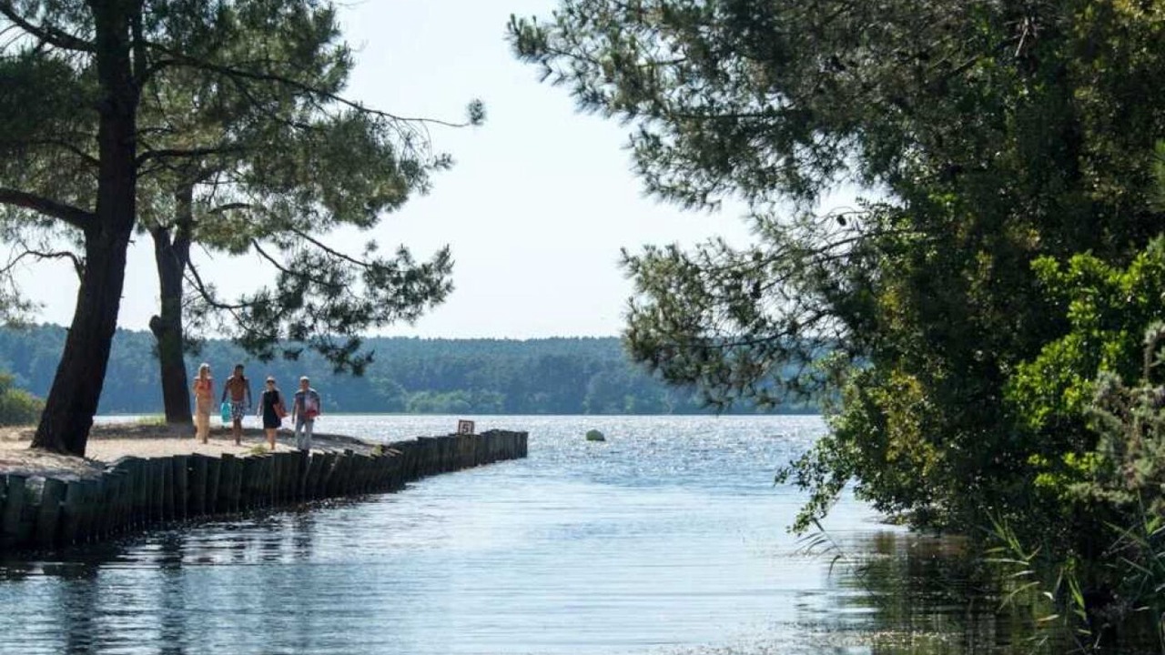 Photo of Others in Gastes