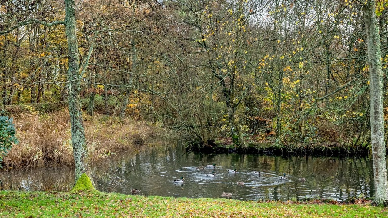 Photo of Outdoor in Ringkobing