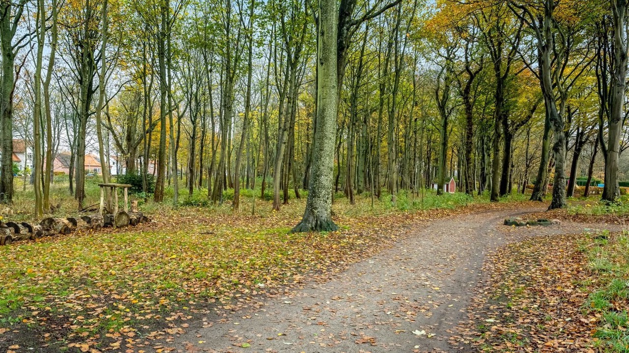 Photo of Outdoor in Ringkobing