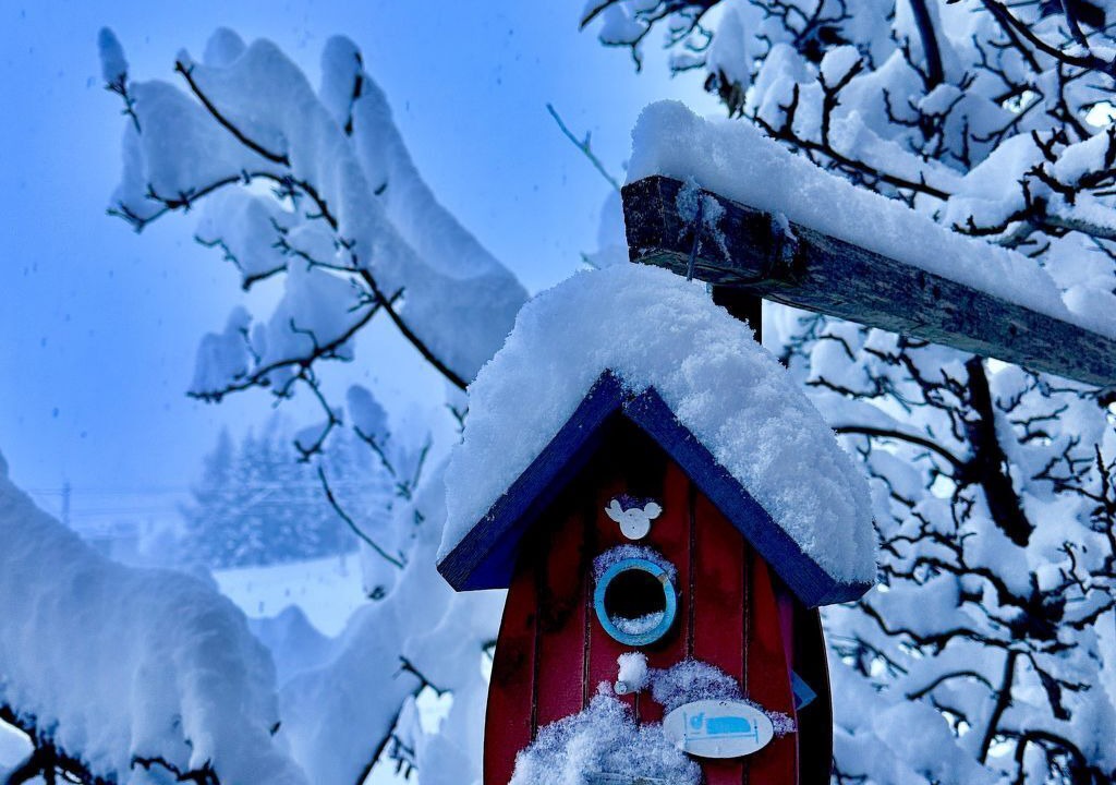 Photo of Others in Frutigen