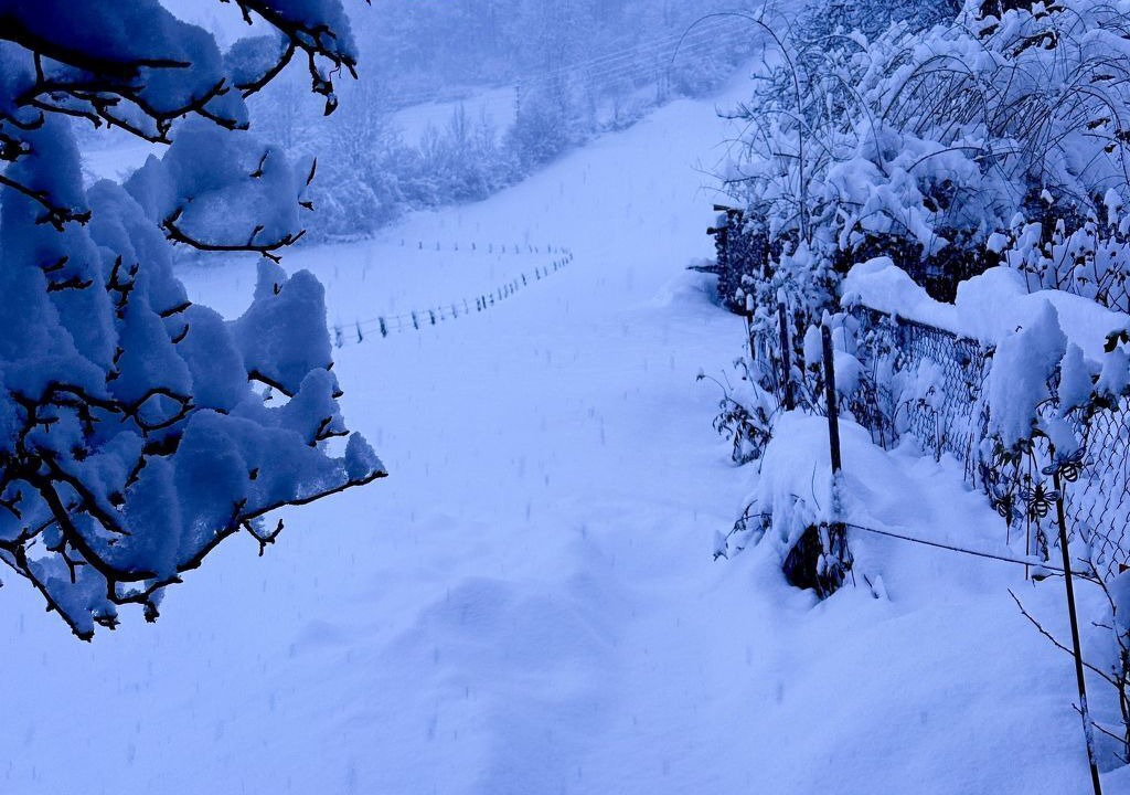 Photo of Outdoor in Frutigen