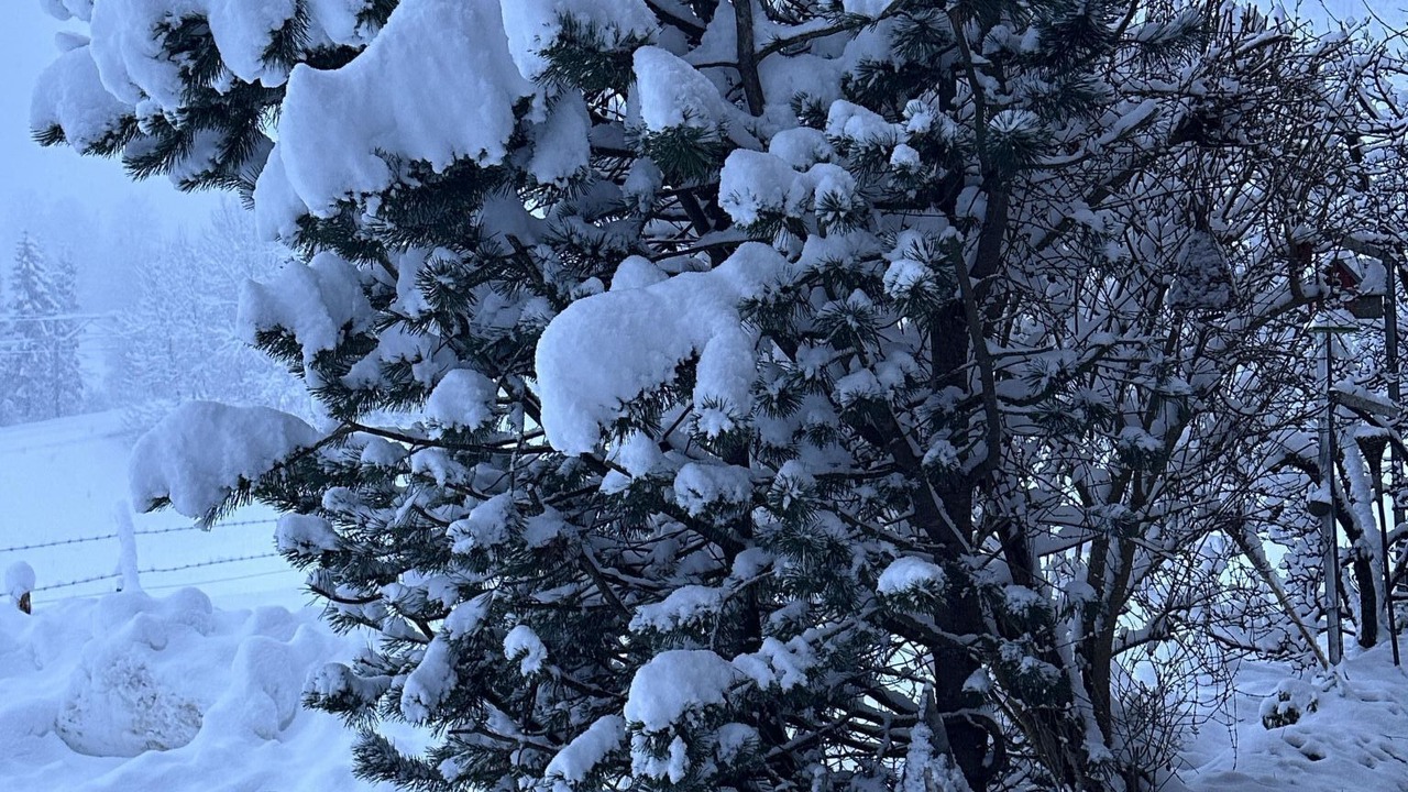 Photo of Outdoor in Frutigen