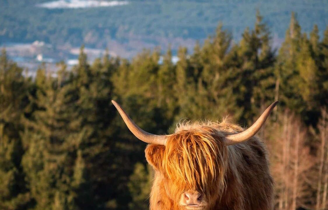 Photo of Outdoor in Foyers