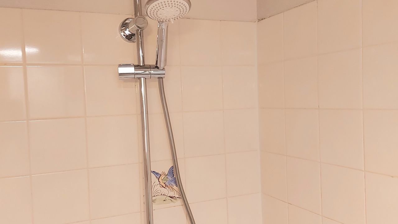 Photo of Bathroom in Elne