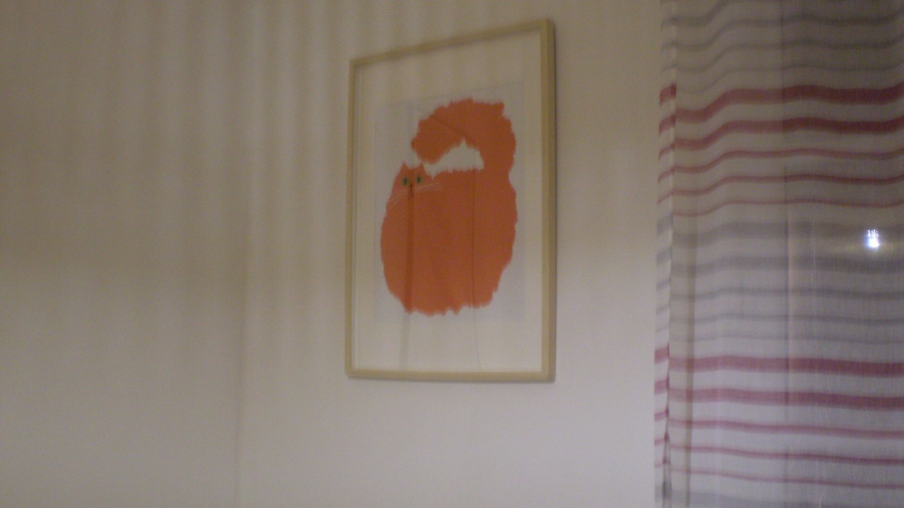 Photo of Others in Salies-de-Bearn