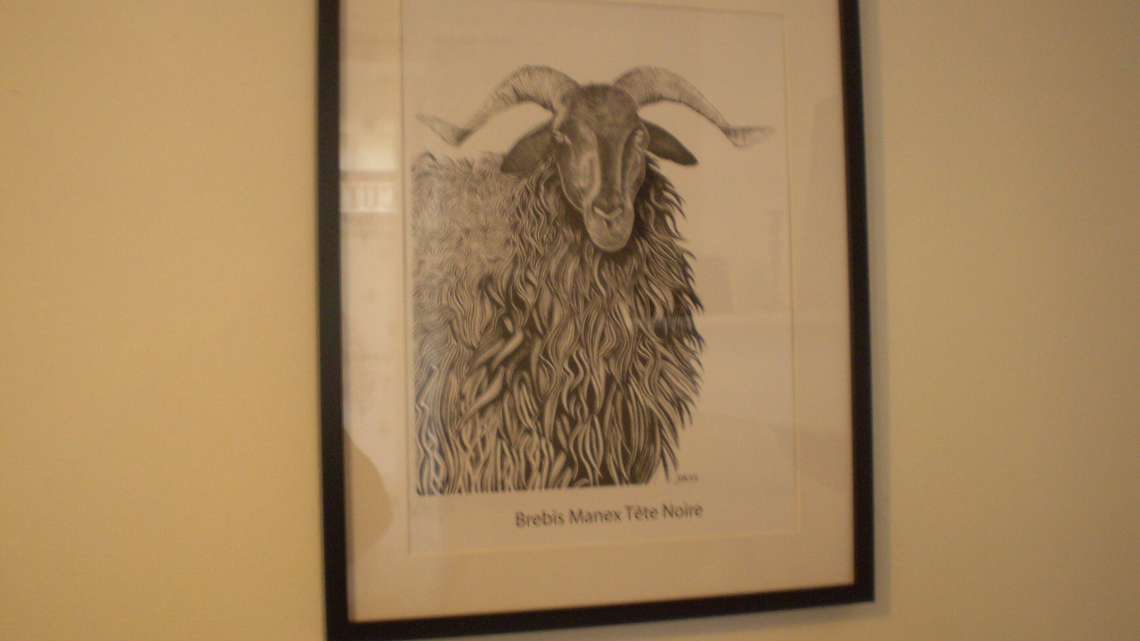 Photo of Others in Salies-de-Bearn