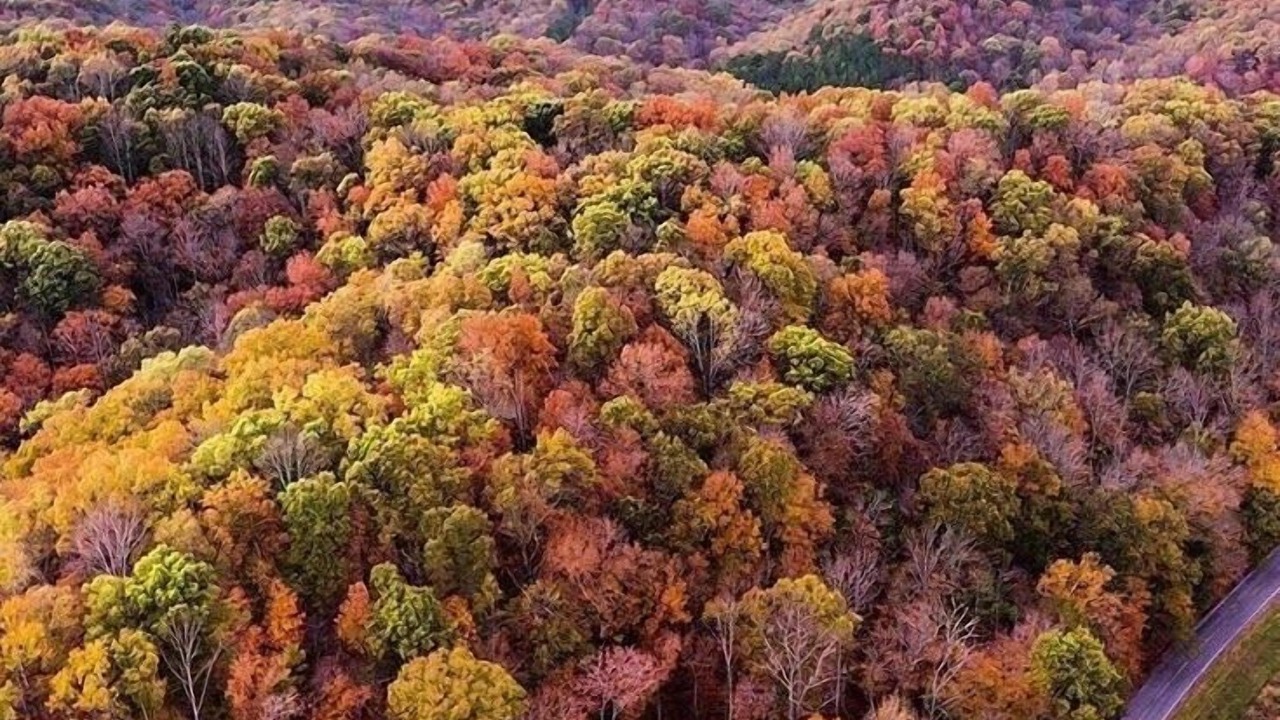 Photo of Outdoor in Franklin