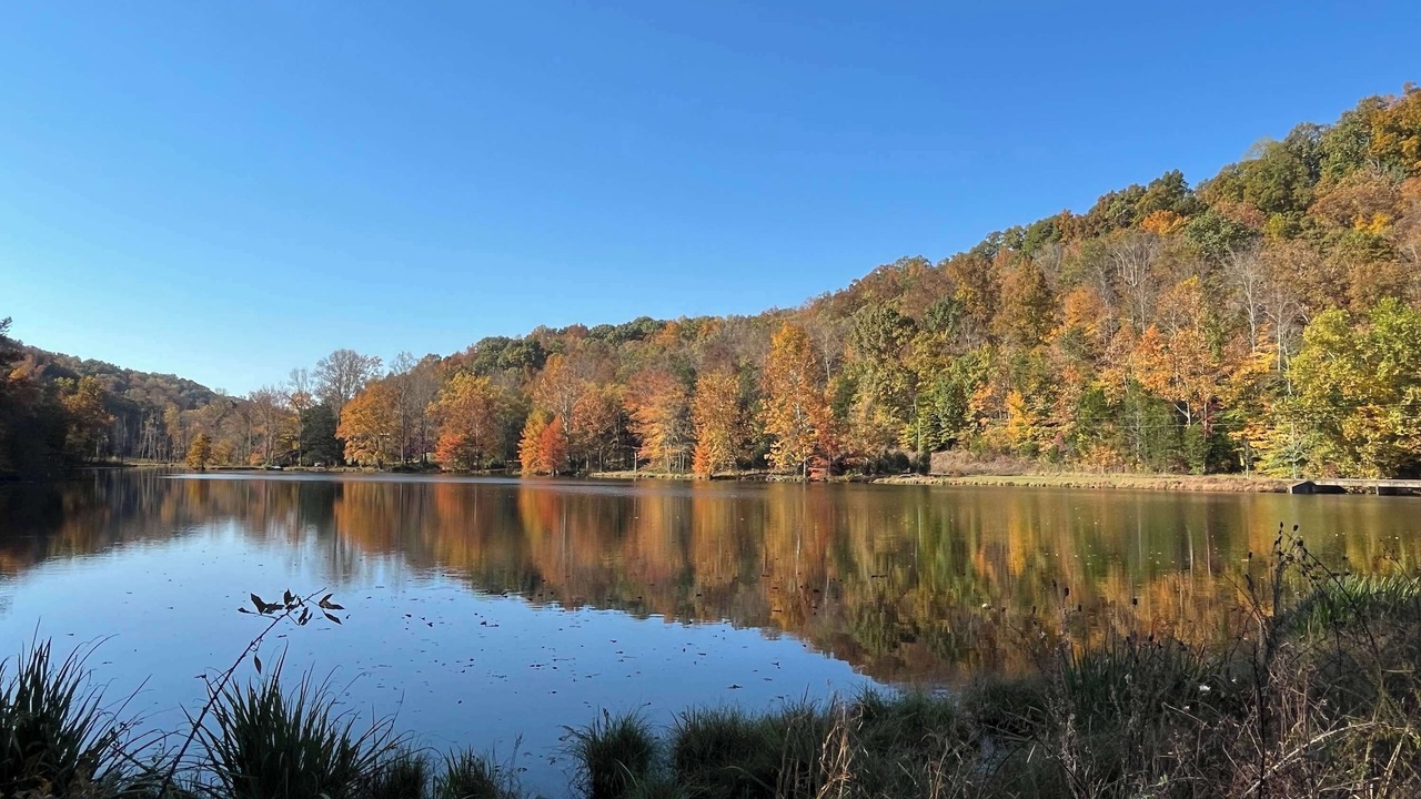 Photo of Outdoor in Franklin
