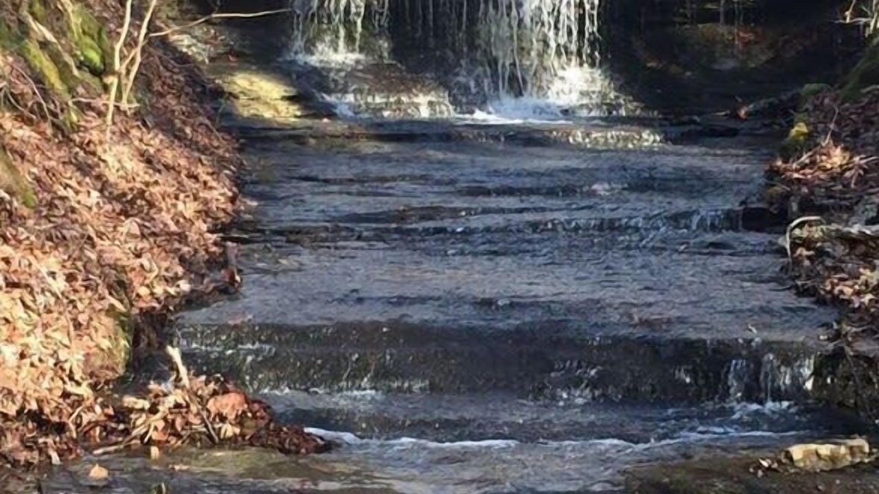 Photo of Others in Franklin