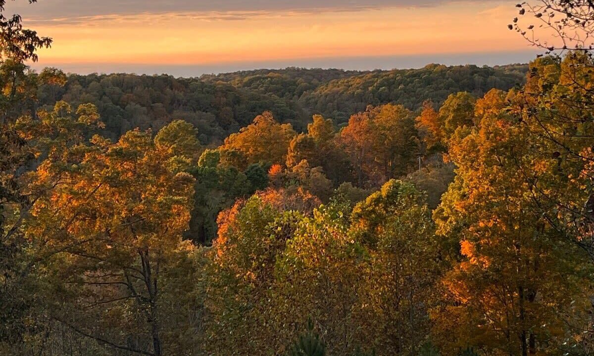 Photo of Outdoor in Franklin