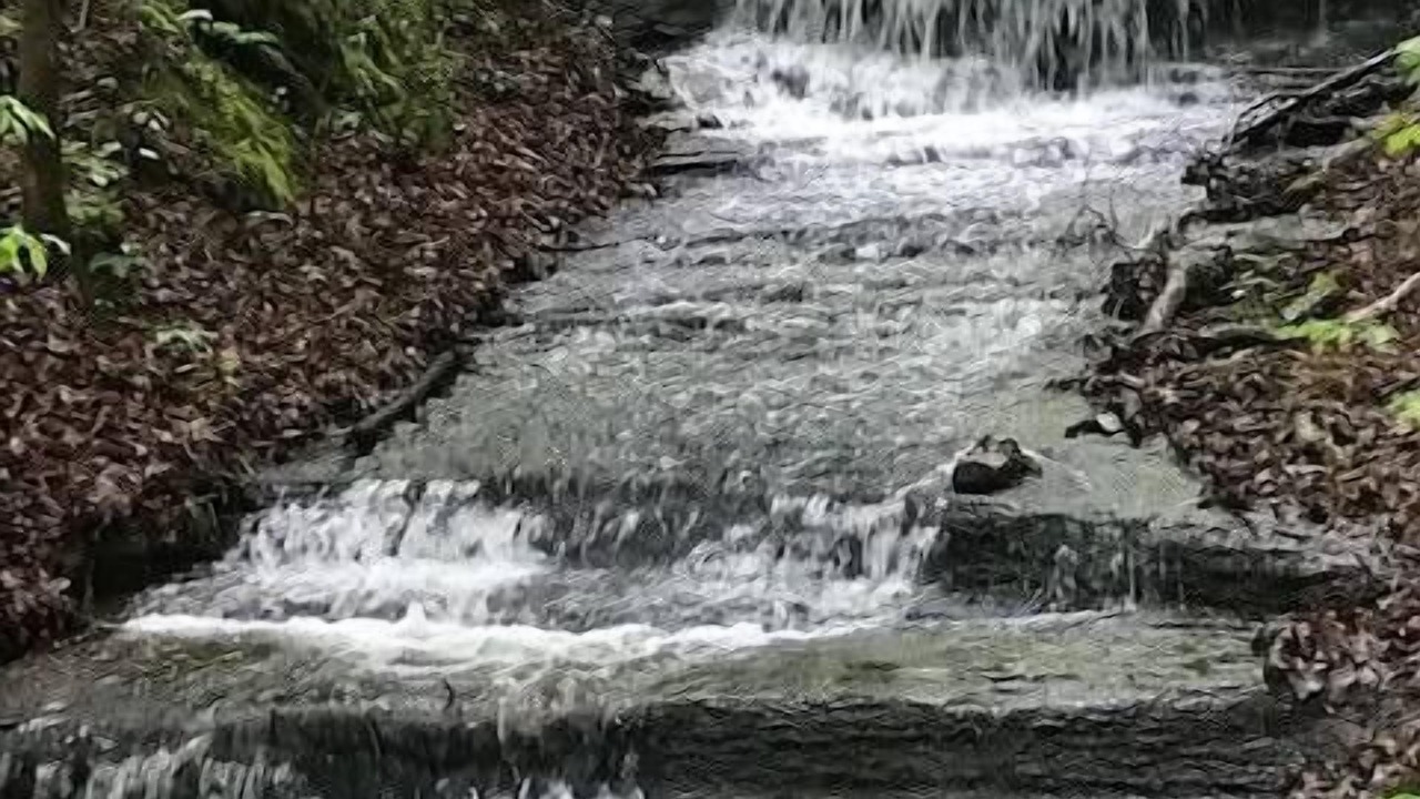 Photo of Others in Franklin