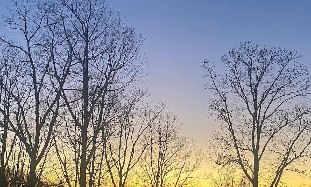 Photo of Outdoor in Franklin