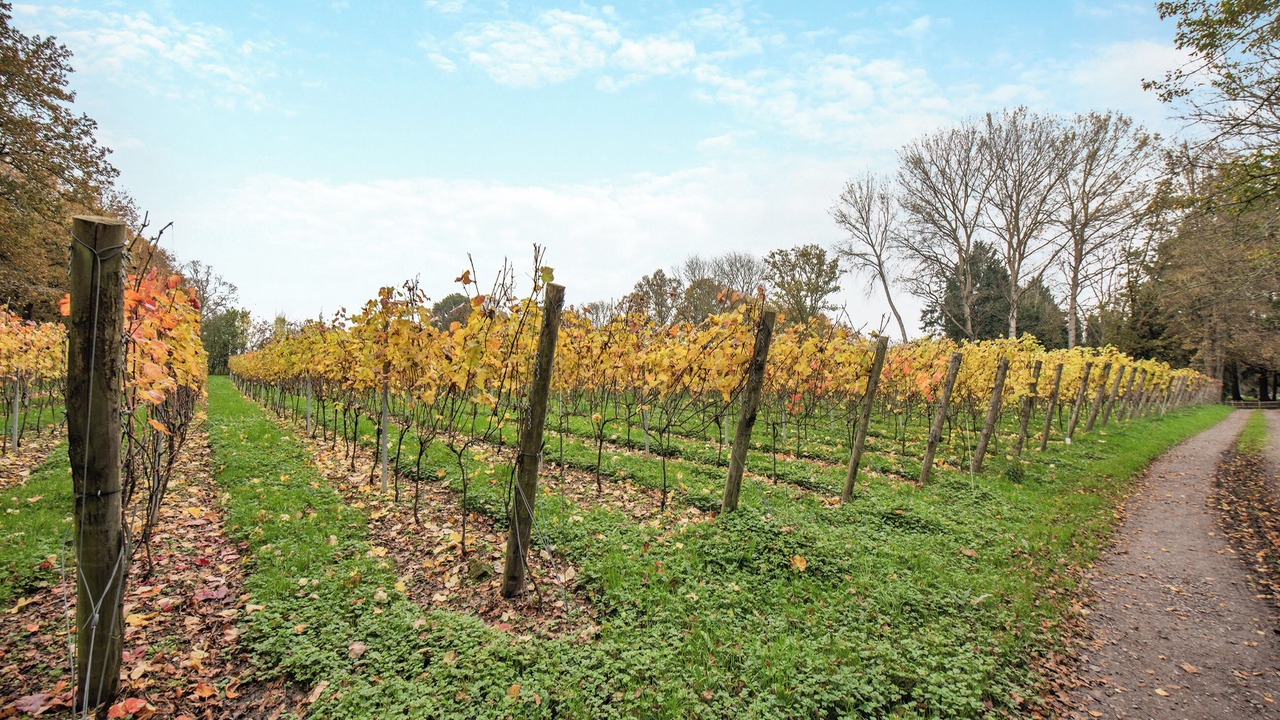 Photo of Outdoor in Wadhurst