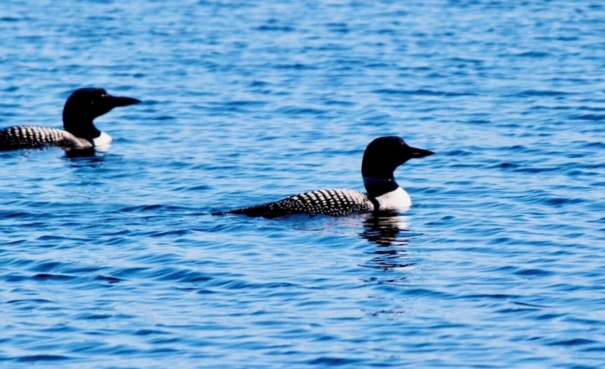 Photo of Others in Franklin