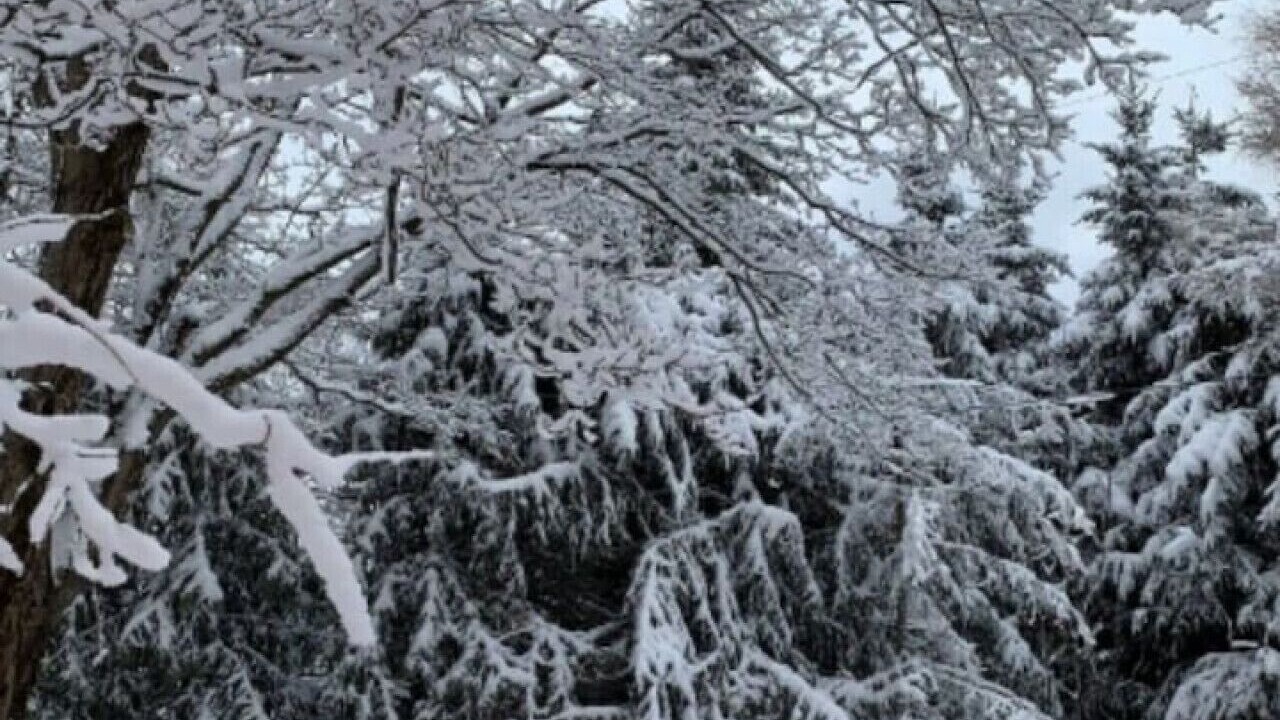 Photo of Outdoor in Ellicottville