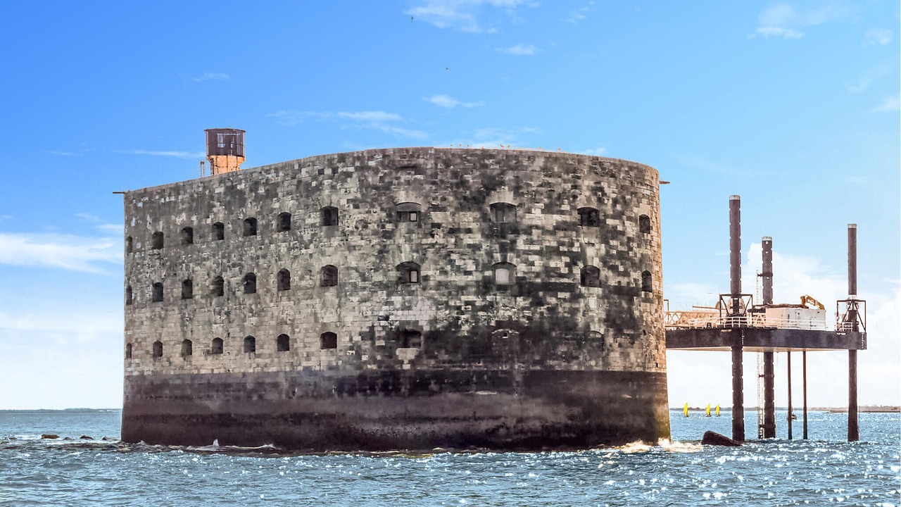 Photo of Others in Medis