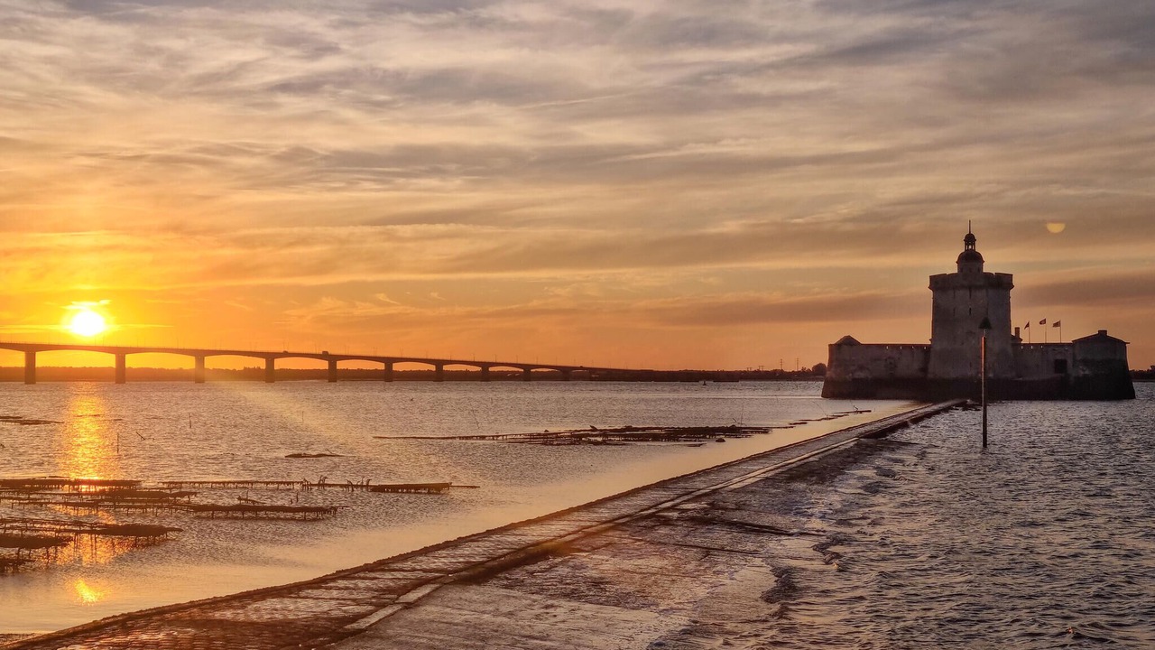 Photo of Others in Medis