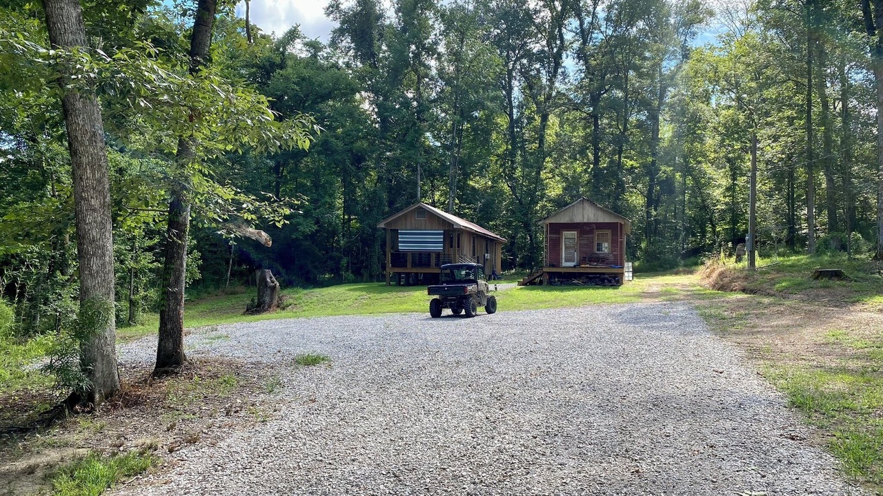 Photo of Outdoor in Redwood