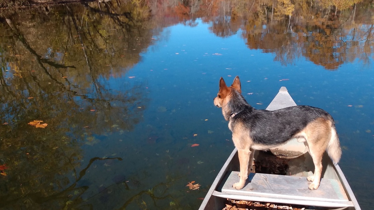 Photo of Others in Greenbrier River