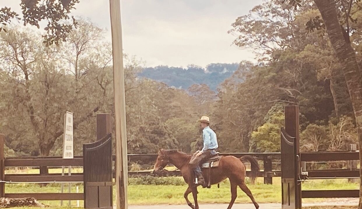 Photo of Others in Guanaba