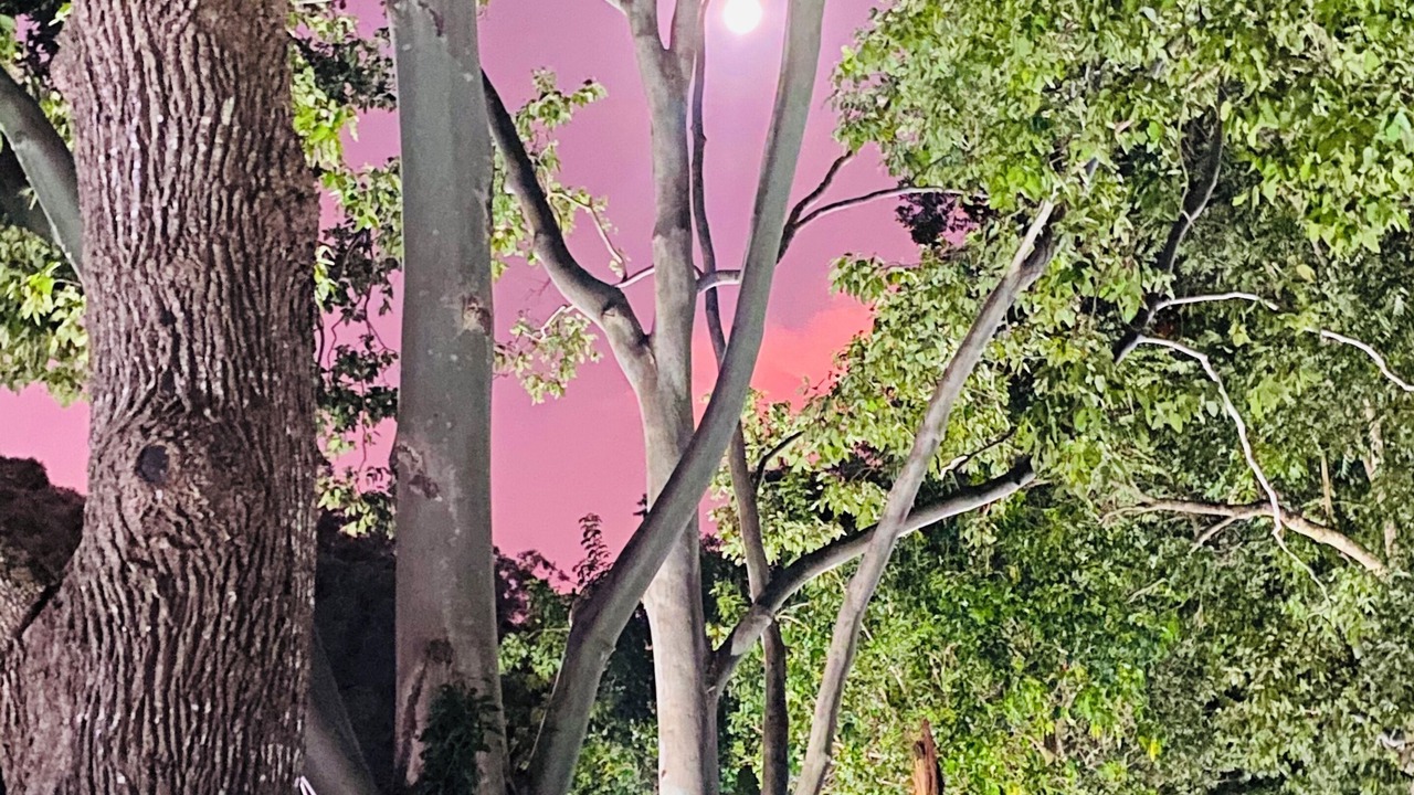 Photo of Outdoor in Guanaba