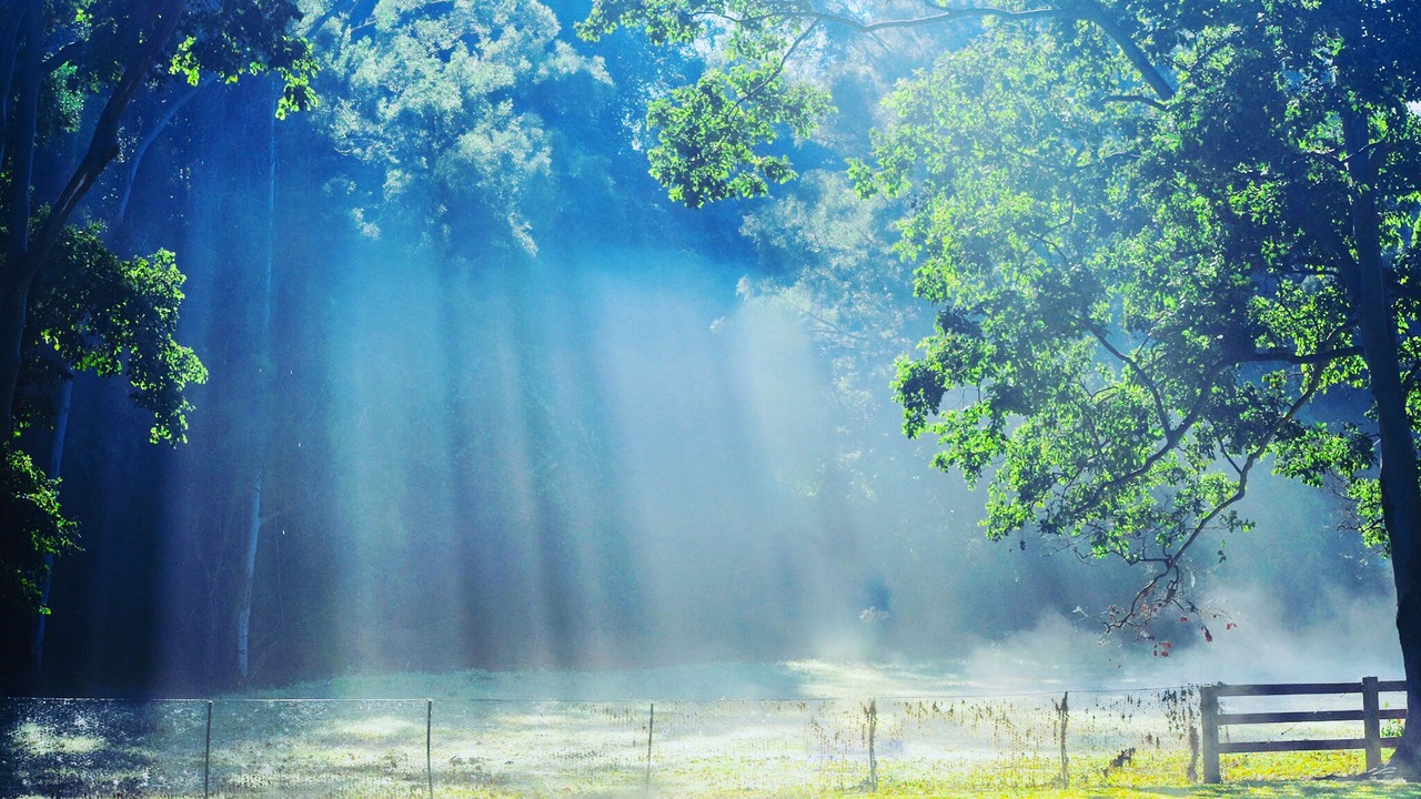 Photo of Others in Guanaba