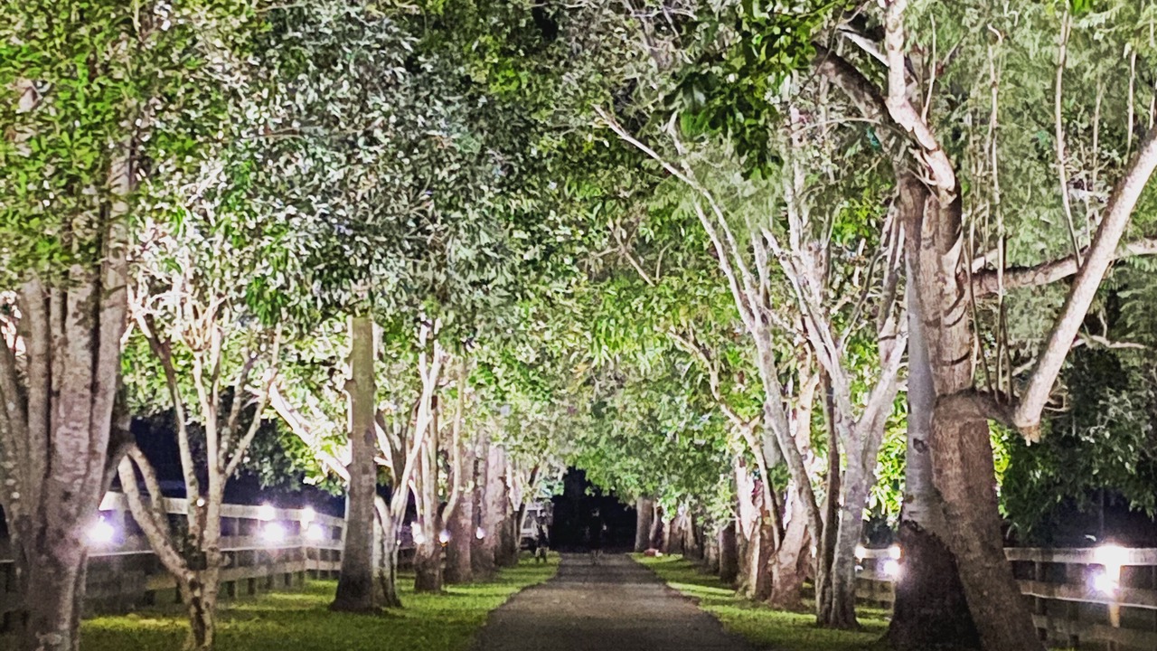 Photo of Others in Guanaba