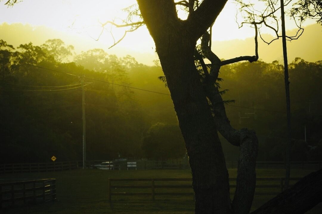 Photo of Others in Guanaba