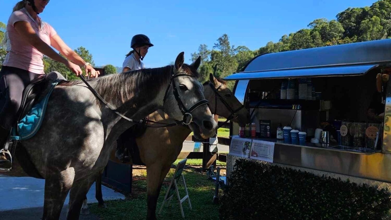 Photo of Others in Guanaba