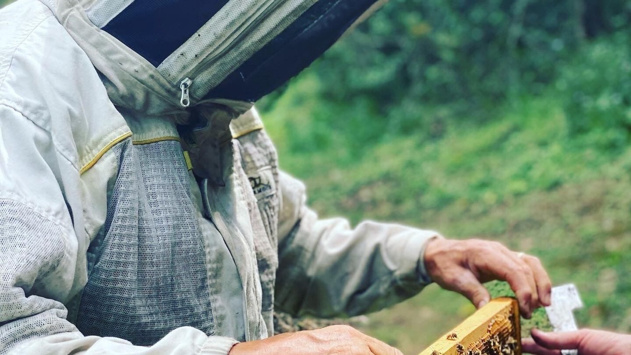 Photo of Others in Guanaba