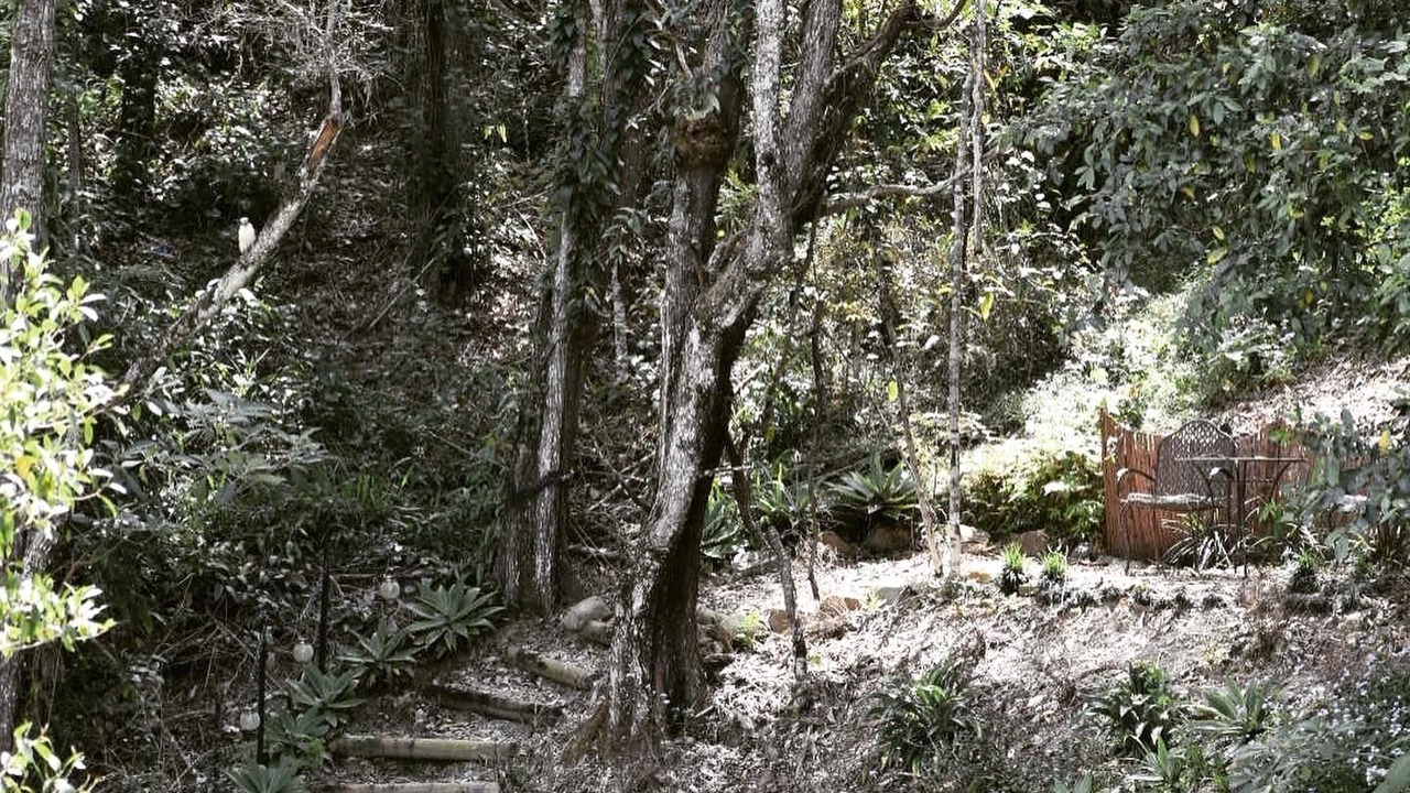 Photo of Outdoor in Guanaba