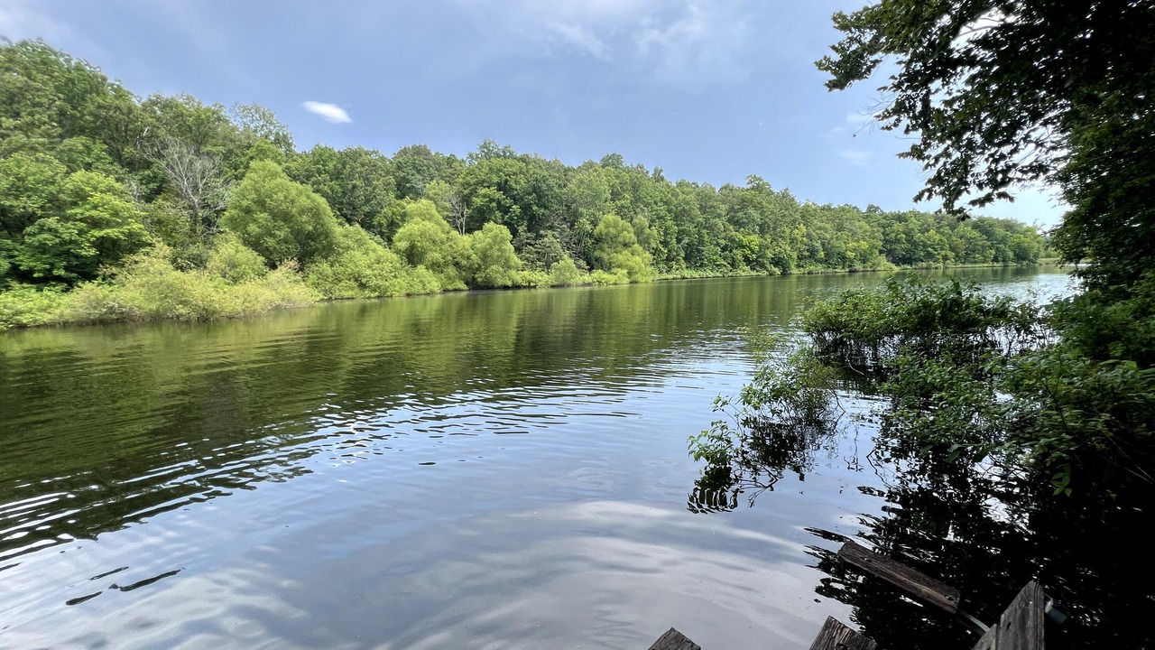 Photo of Outdoor in Myrtle