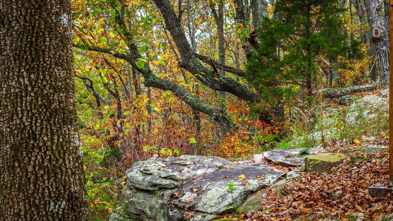 Photo of Others in Fort Payne