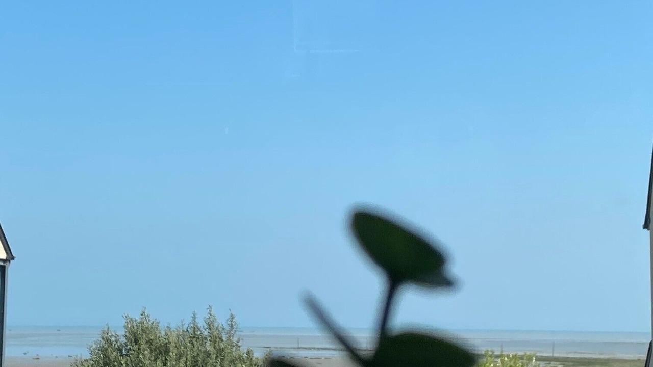Photo of Outdoor in Le Vivier-sur-Mer