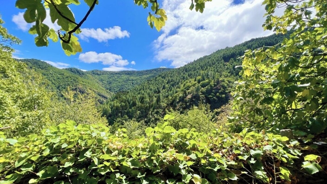 Photo of Outdoor in Malons-et-Elze