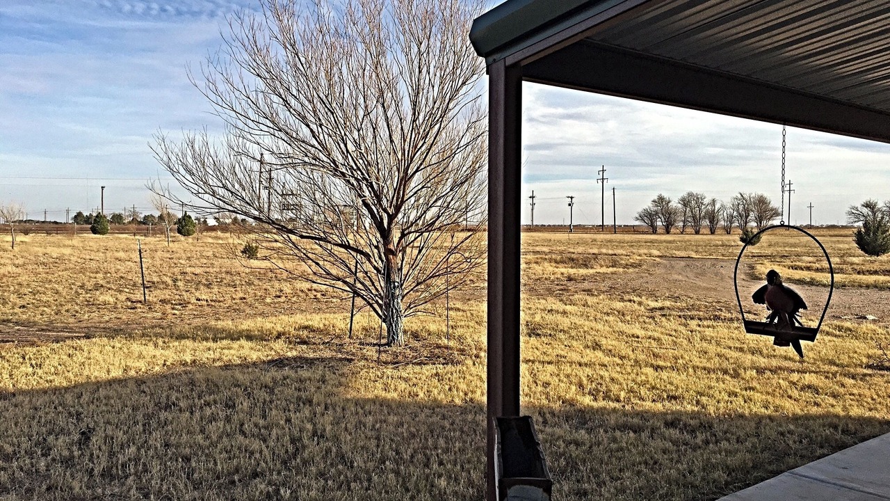 Photo of Outdoor in Lubbock