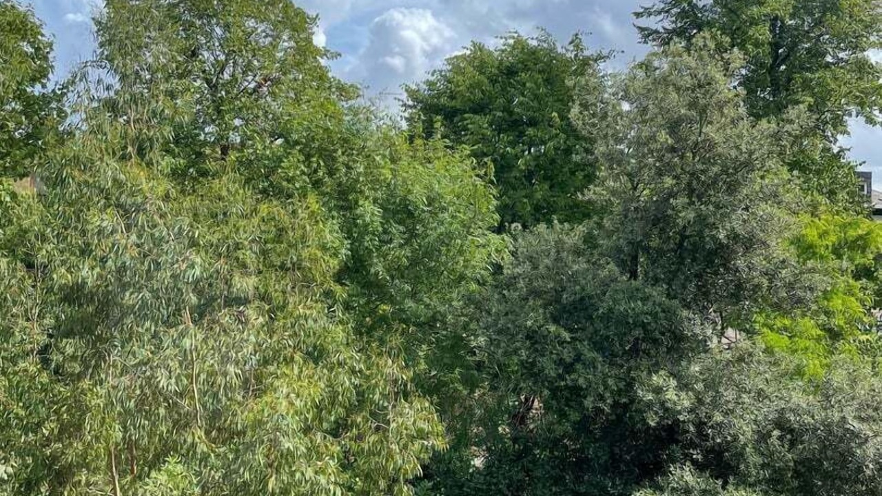 Photo of Others in Camden