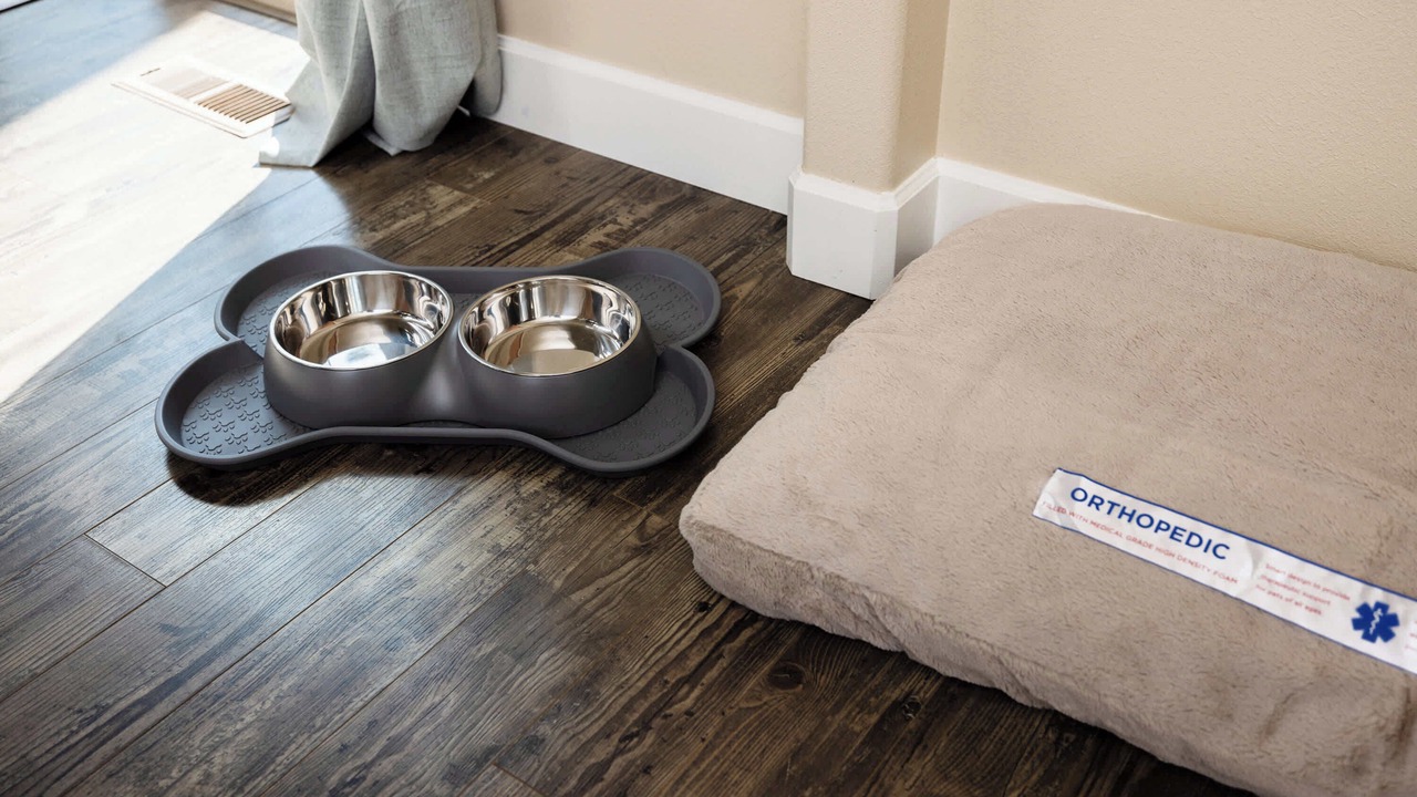 Photo of Others in Southwest Bend