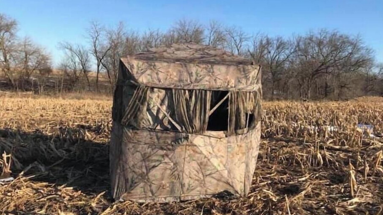 Photo of Others in Saline County