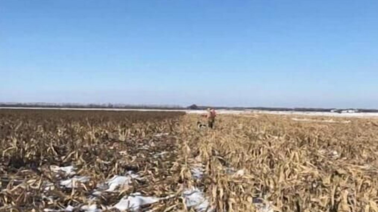 Photo of Others in Saline County