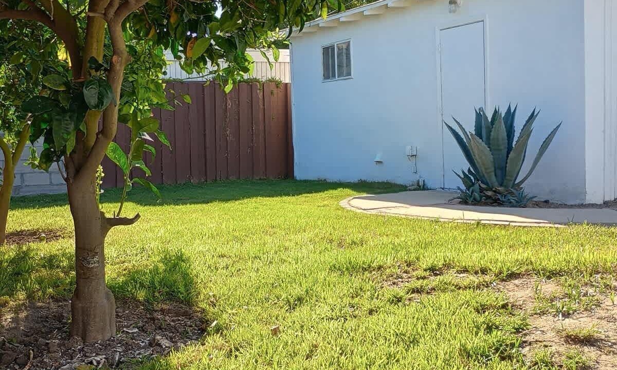 Photo of Others in Del Rey