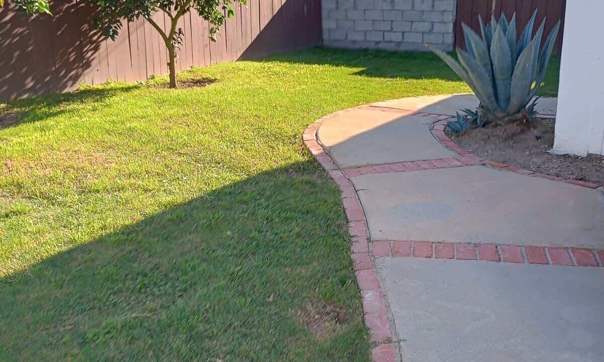 Photo of Others in Del Rey