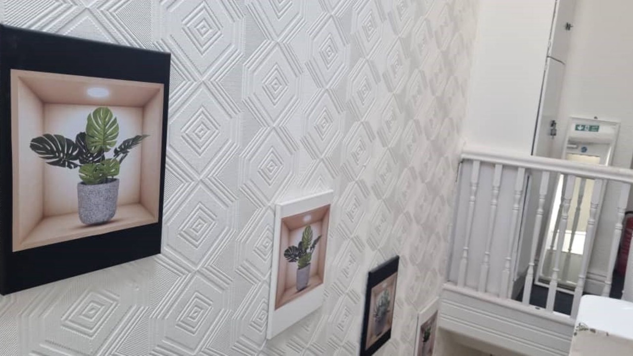 Photo of Others in North Shore