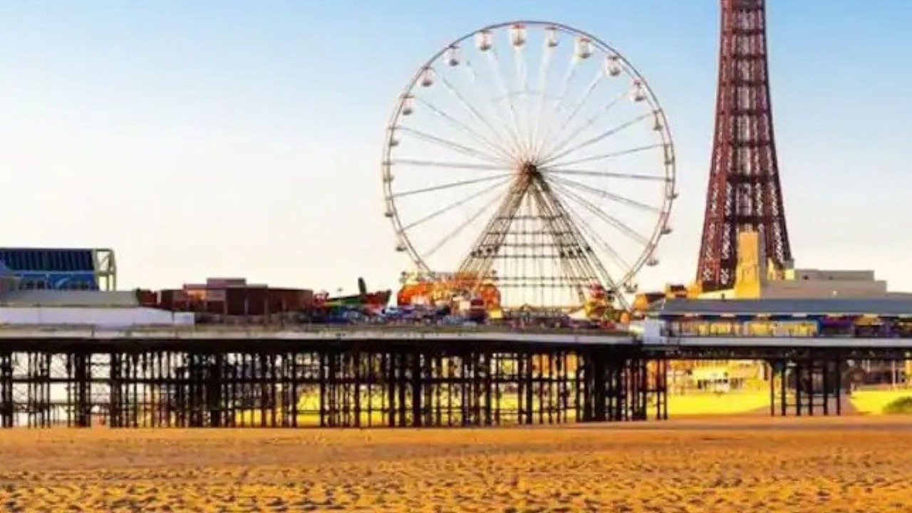 Photo of Others in North Shore