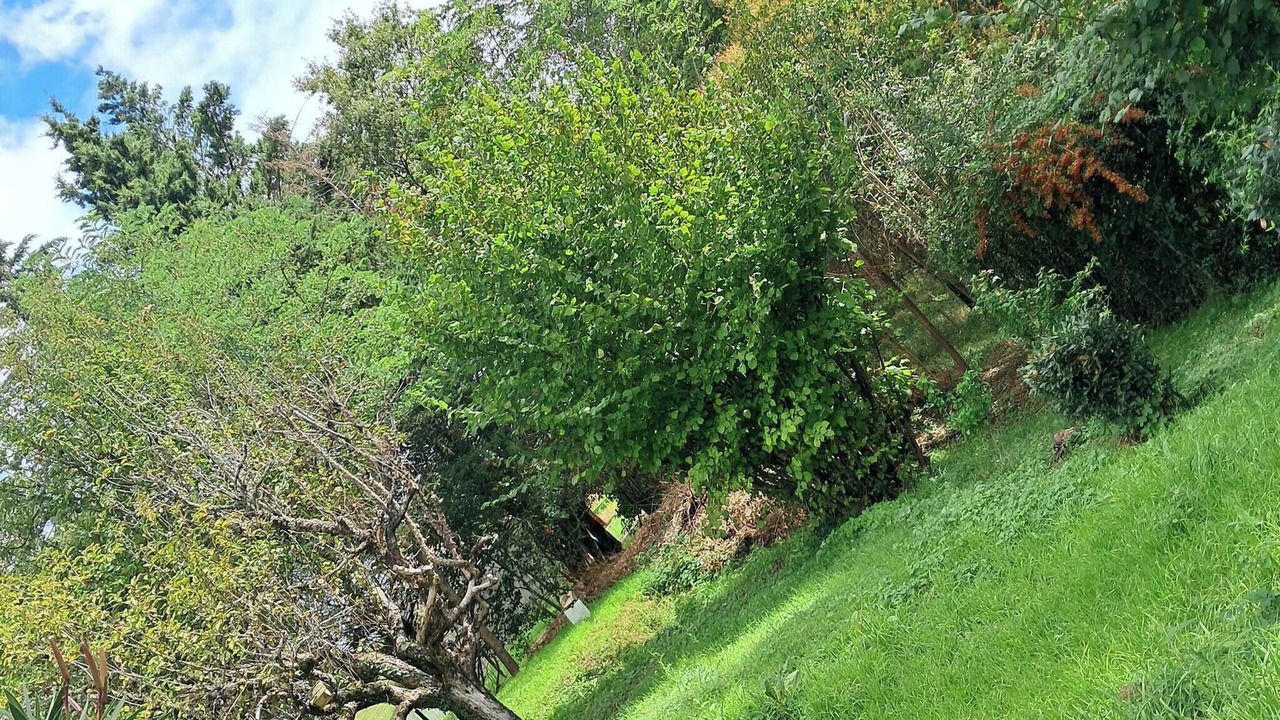 Photo of Outdoor in Lisle-sur-Tarn