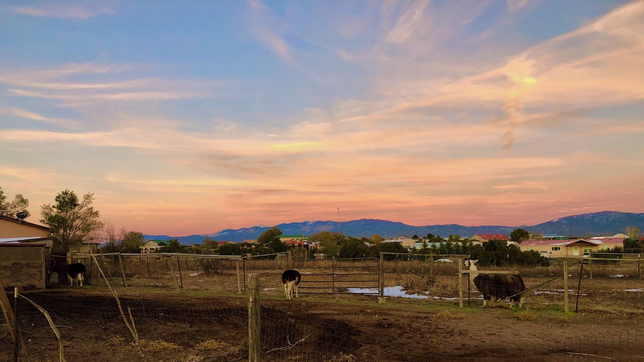 Photo of Others in Agua Fria
