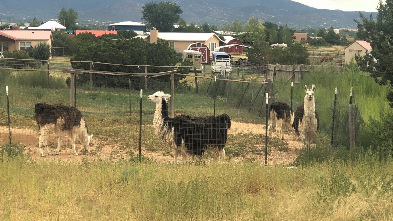 Photo of Others in Agua Fria