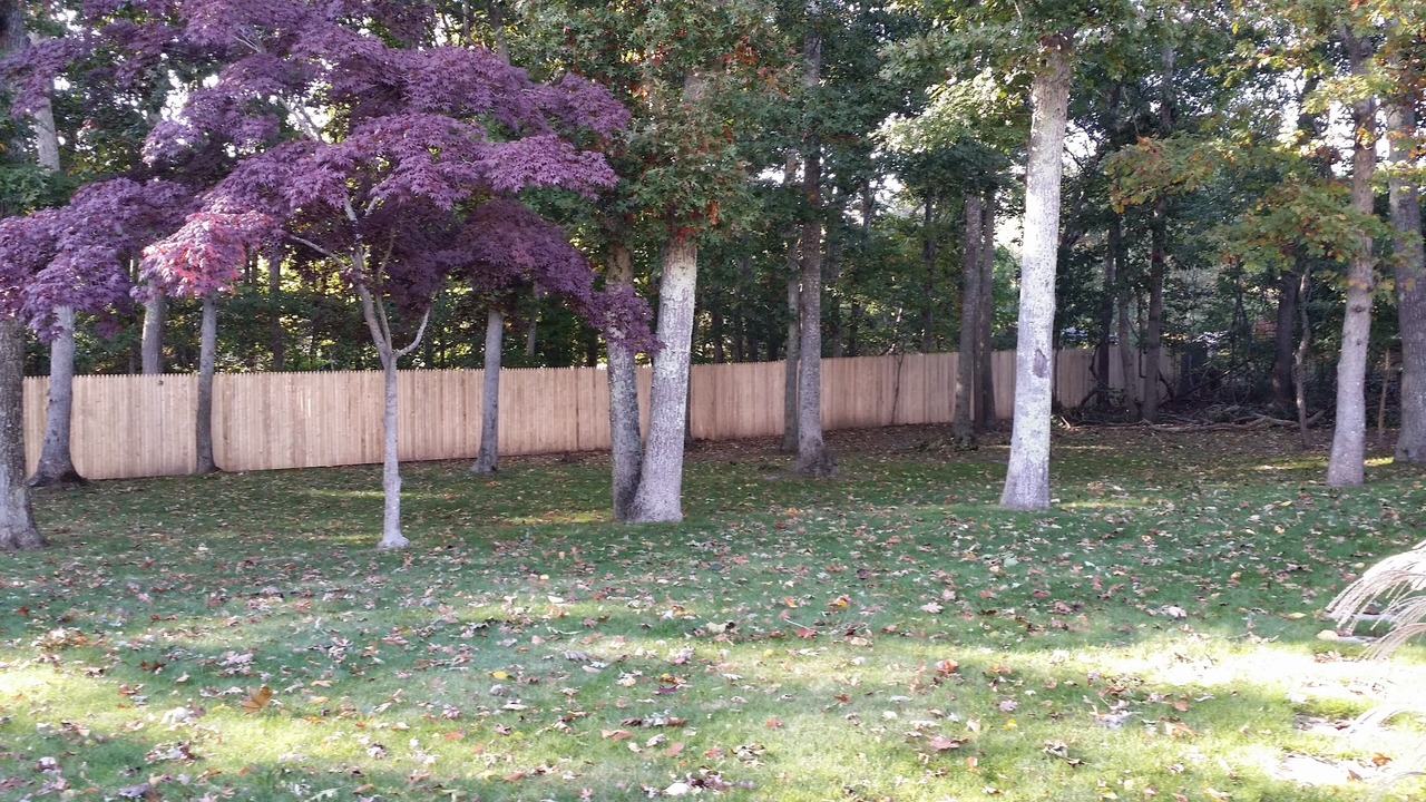 Photo of Outdoor in Water Mill