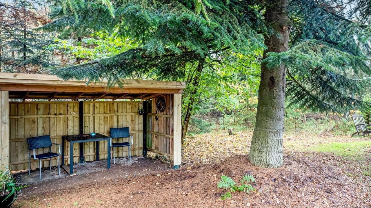 Photo of Outdoor in Tim