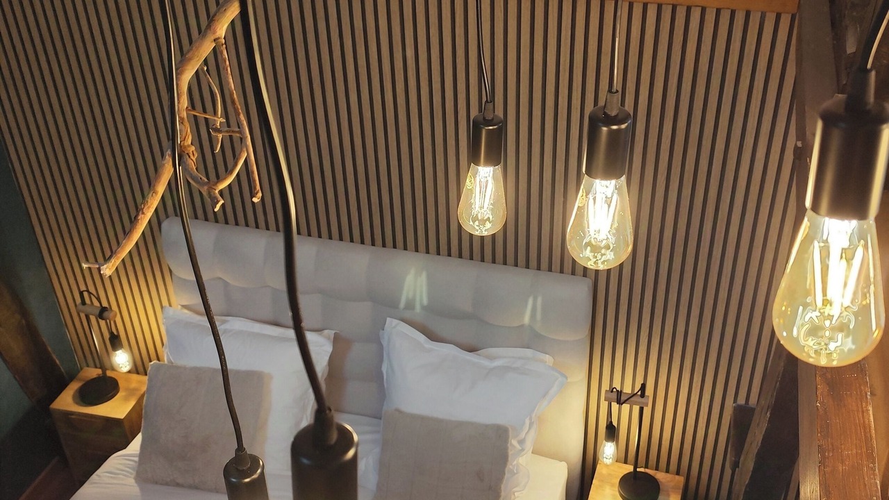Photo of Bedroom in Tosny